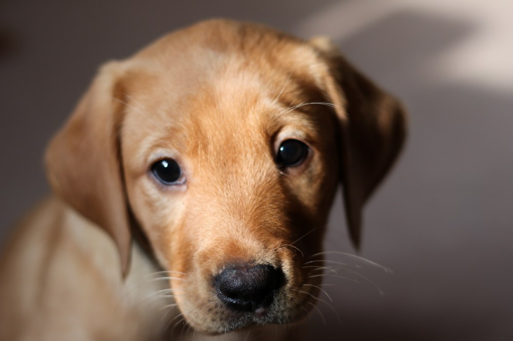 10 months with&nbsp;Honey