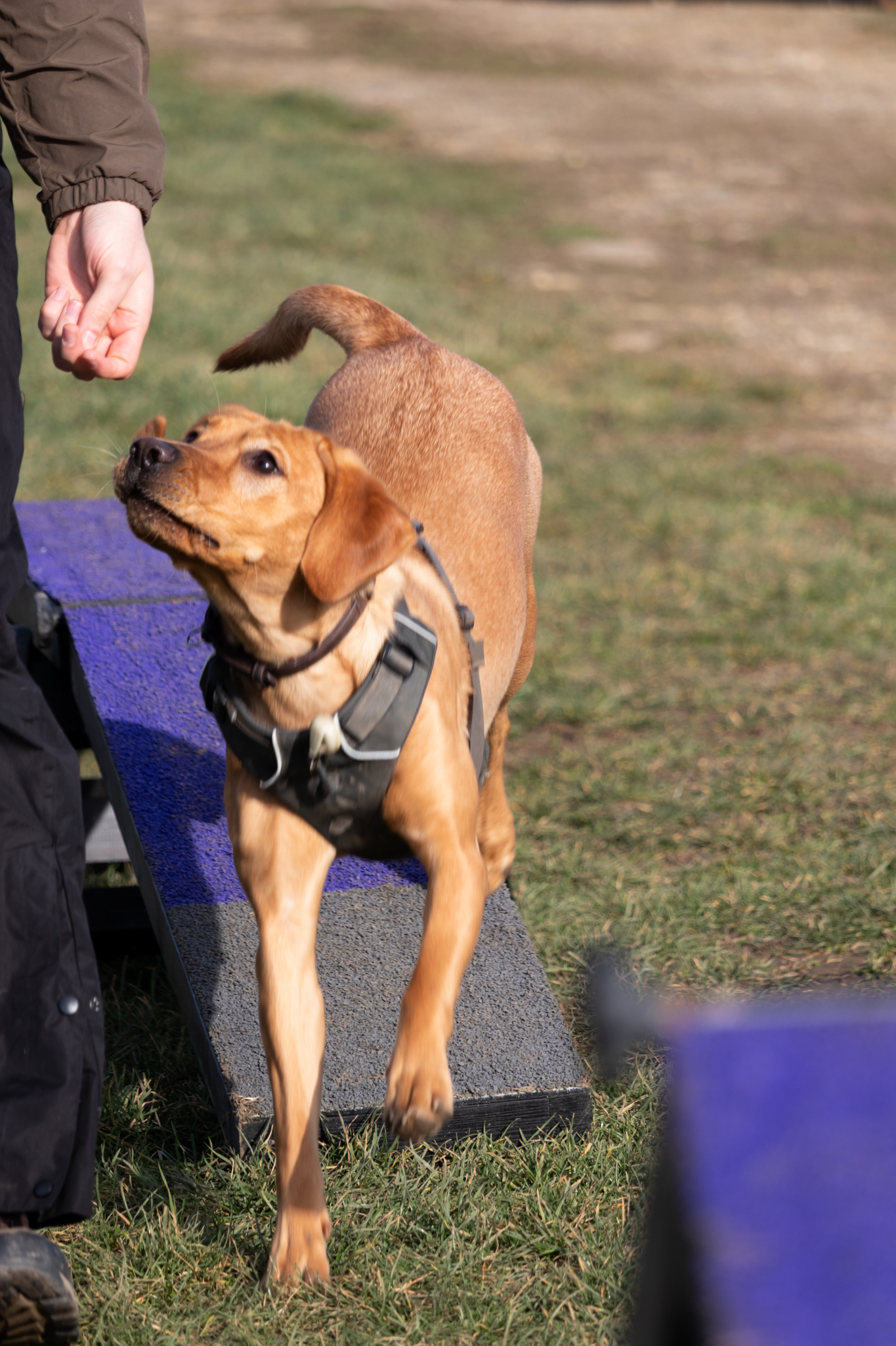 portrait-photographer-northamptonshire