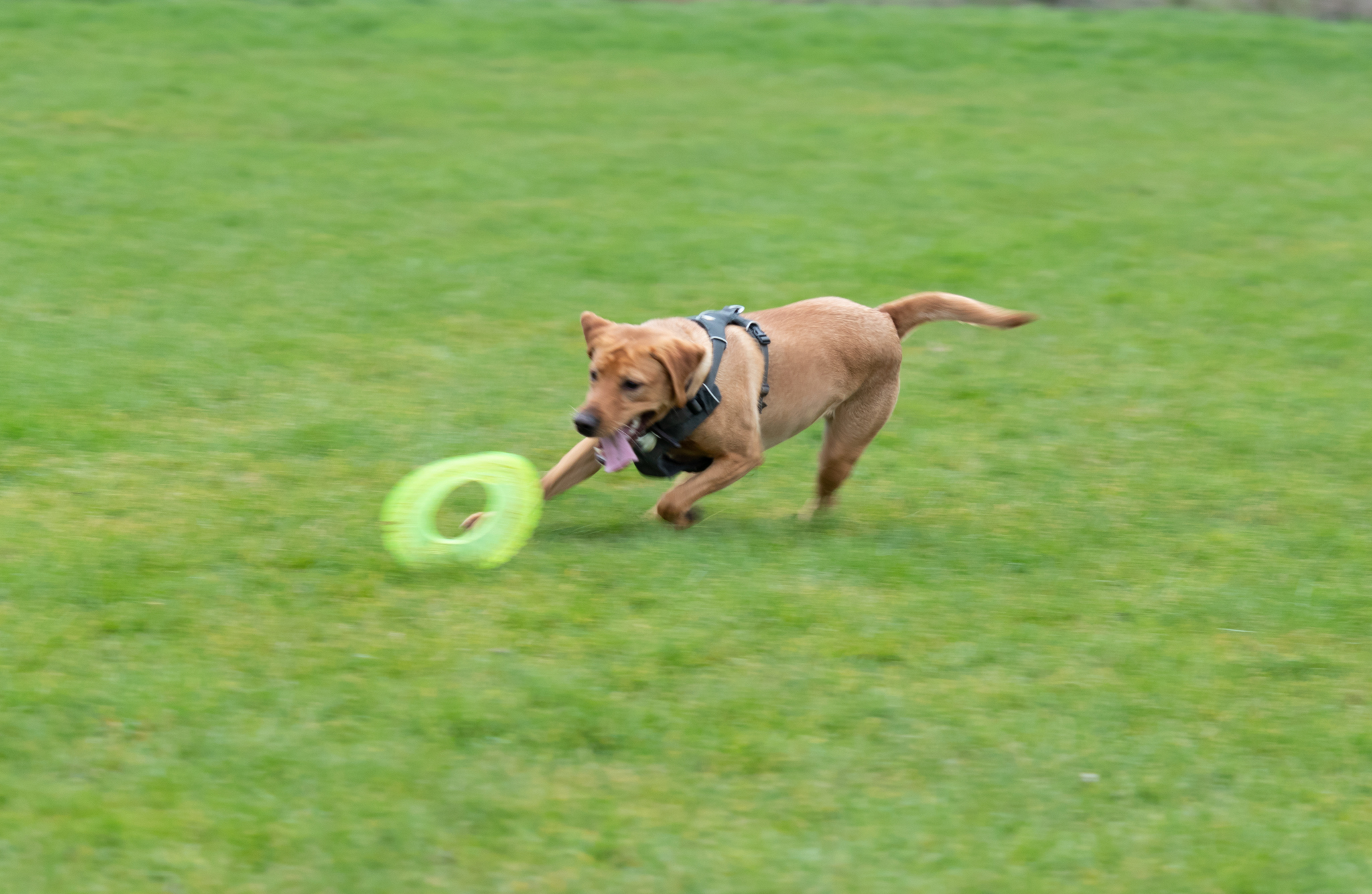 portrait-photographer-northamptonshire